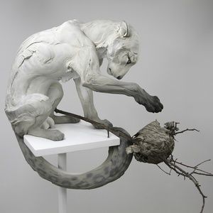 Meet your Posher, Joshua